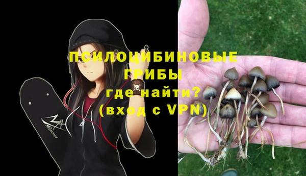 метадон Алексеевка