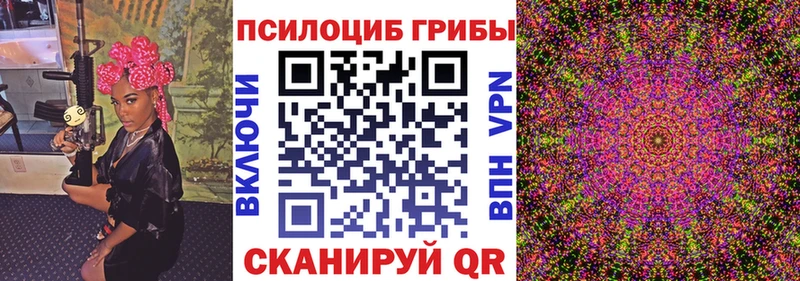 Псилоцибиновые грибы Psilocybe  Георгиевск 