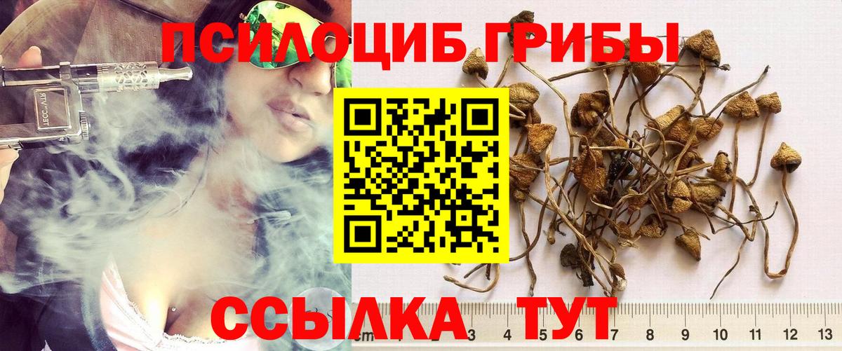 Георгиевск  Галлюциногенные грибы прущие грибы  Вход с VPN 